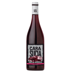 NEBBIOLO - CARA SUCIA