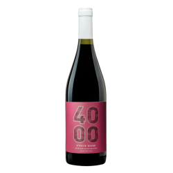 PINOT NOIR - 4000 RESERVA