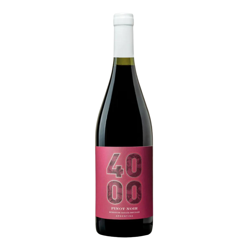 PINOT NOIR - 4000 RESERVA