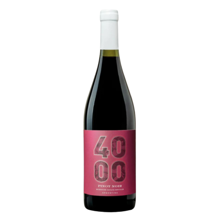 PINOT NOIR - 4000 RESERVA